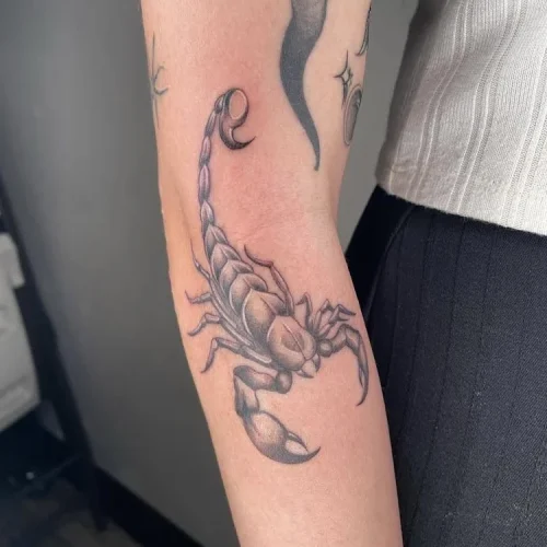 Fineline black and grey scorpion tattoo | Las Vegas Arts District
