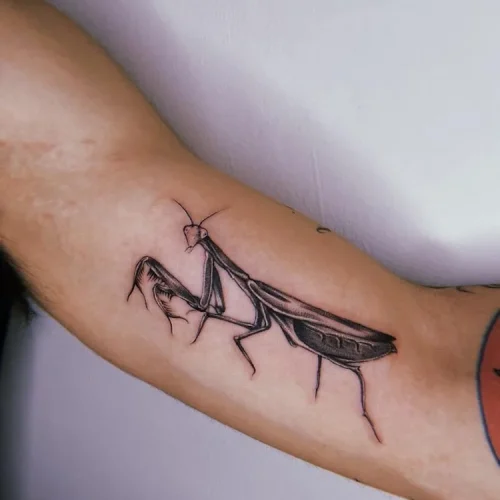 fine line illustrative bicep Tattoo | Downtown Las Vegas